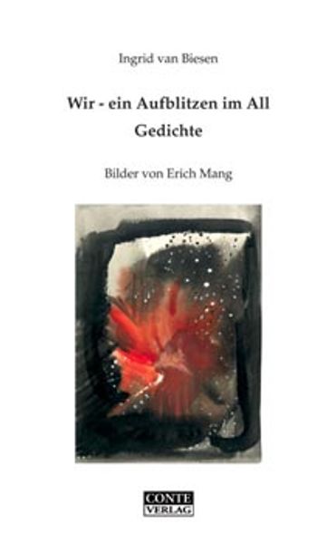 Cover von Wir – ein Aufblitzen im All