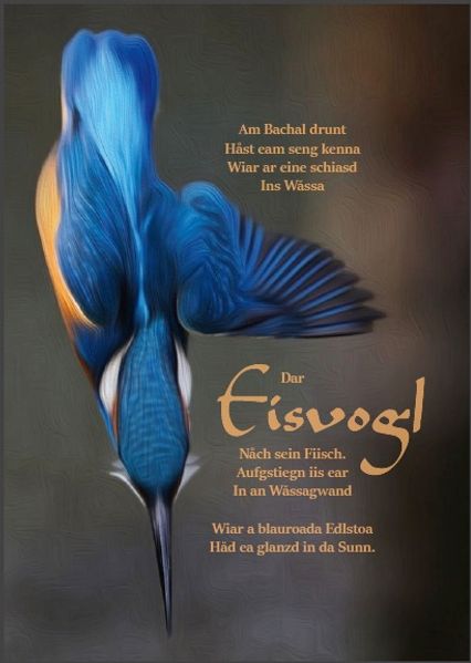 Cover von Eisvogl