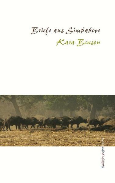 Cover von Briefe aus Simbabwe