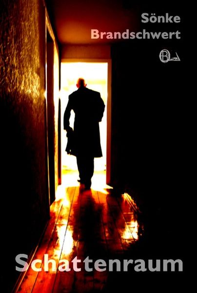 Cover von Schattenraum