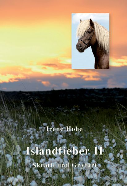 Cover von Islandfieber II