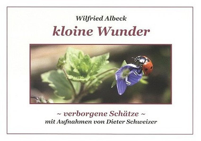 Cover von kloine Wunder