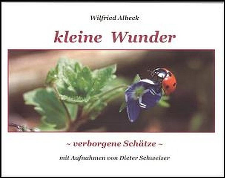 Cover von kleine Wunder