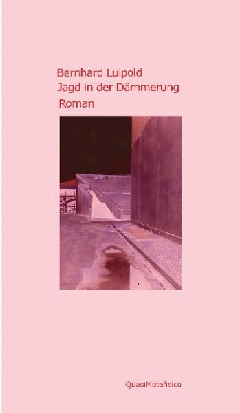 Cover von Jagd in der Dämmerung, Roman
