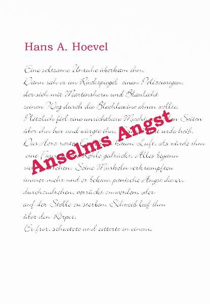 Cover von Anselms Angst