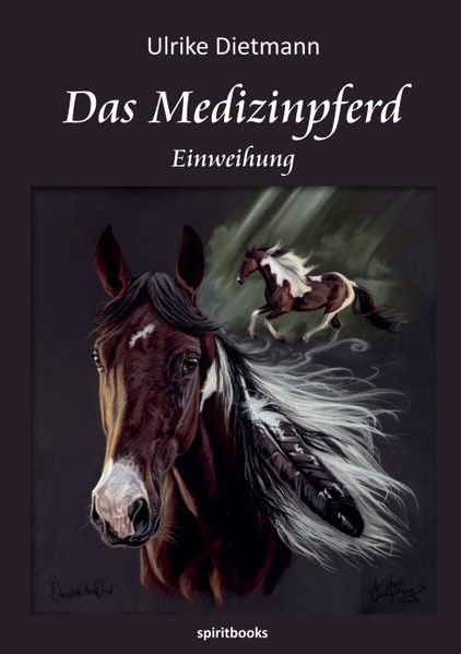 Cover von Das Medizinpferd