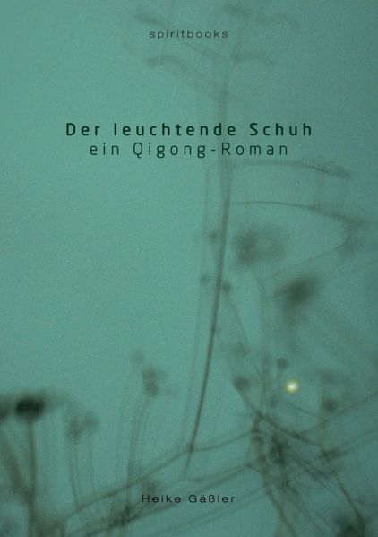 Cover von Der leuchtende Schuh