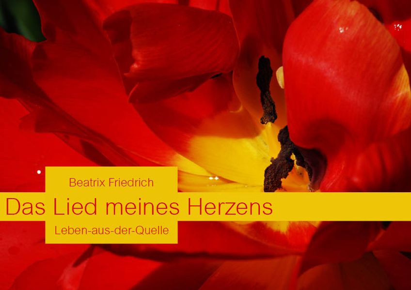 Cover von Das Lied meines Herzens