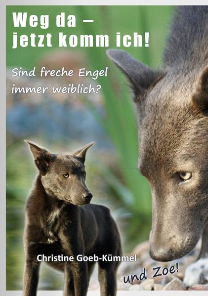 Cover von Weg da – jetzt komm ich!