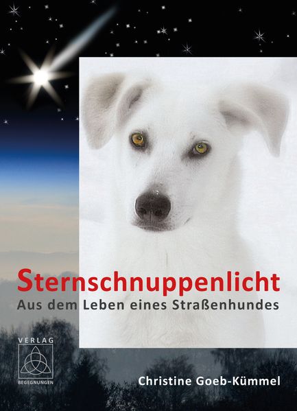 Cover von Sternschnuppenlicht