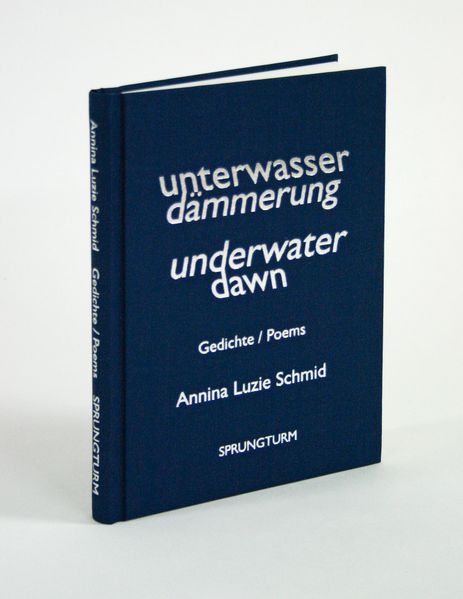 Cover von Unterwasserdämmerung / Underwaterdawn