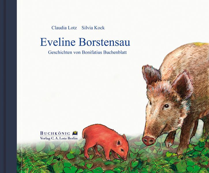 Cover von Eveline Borstensau