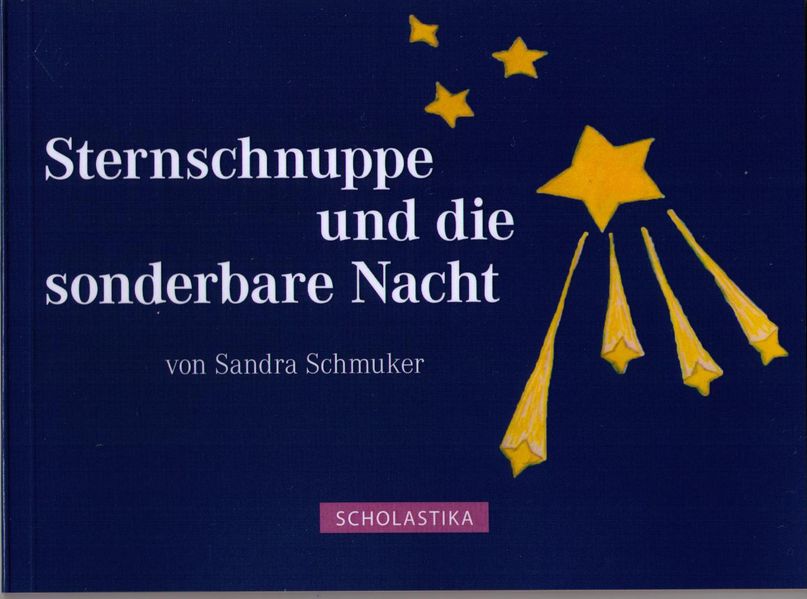 Cover von Sternschnuppe und die sonderbare Nacht