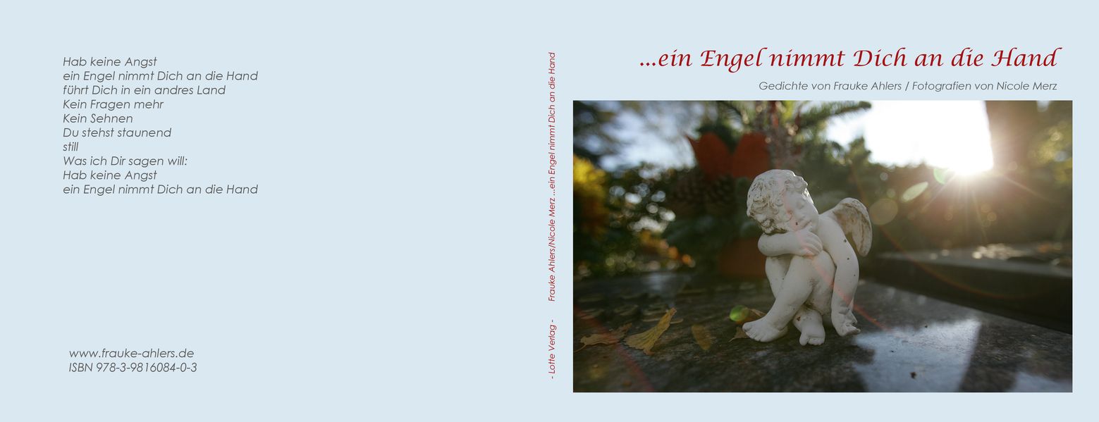 Cover von …ein Engel nimmt Dich an die Hand