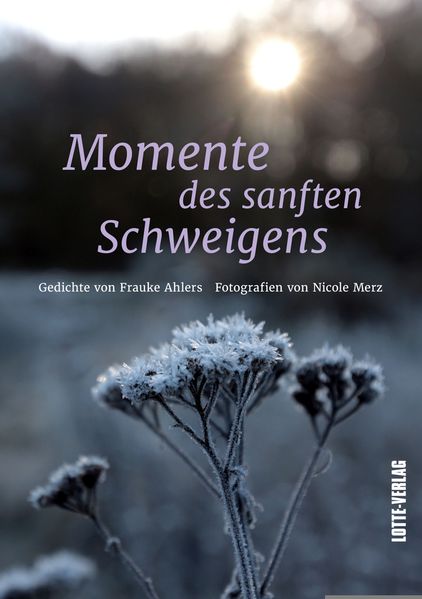 Cover von Momente des sanften Schweigens