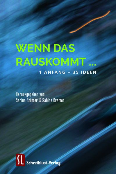 Cover von Wenn das rauskommt …