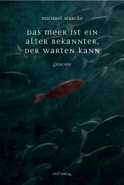 Cover von Das Meer ist ein alter Bekannter, der warten kann