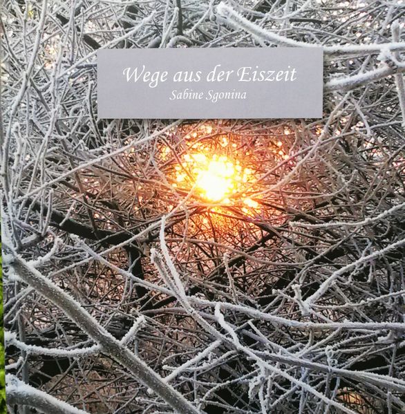 Cover von Wege aus der Eiszeit