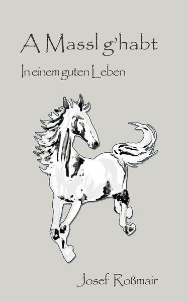 Cover von A Massl g’habt