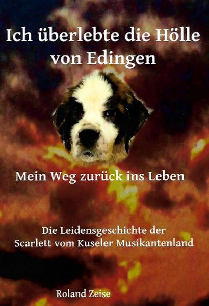 Cover von Ich überlebte die Hölle von Edingen