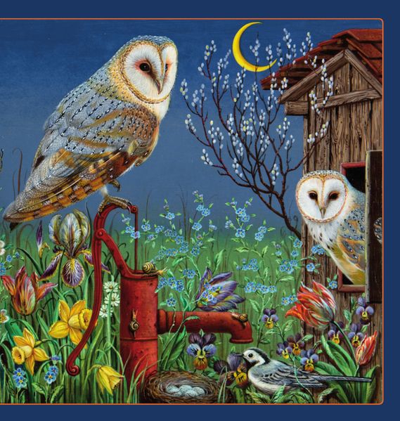 Cover von Kleine Vogel-Wunderkammer