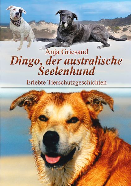 Cover von Dingo, der australische Seelenhund