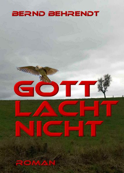 Cover von Gott lacht nicht