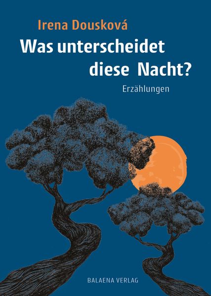 Cover von Was unterscheidet diese Nacht?