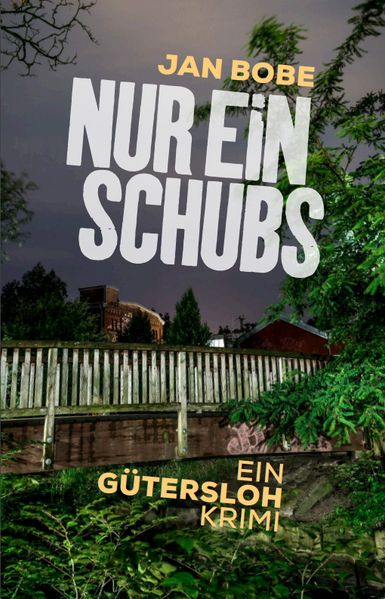 Cover von Nur ein Schubs