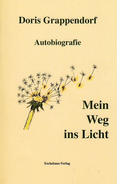 Cover von Mein Weg ins Licht