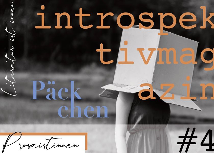 Cover von introspektiv #4 – Päckchen