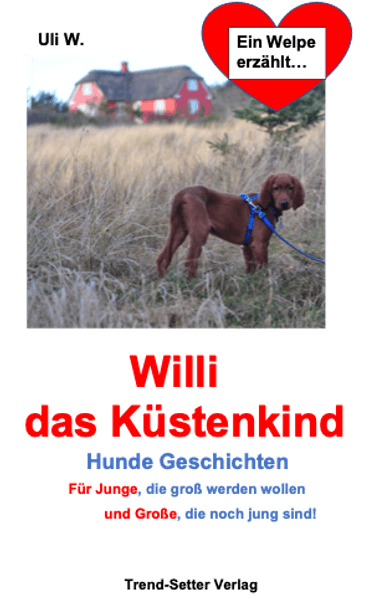 Cover von Willi das Küstenkind