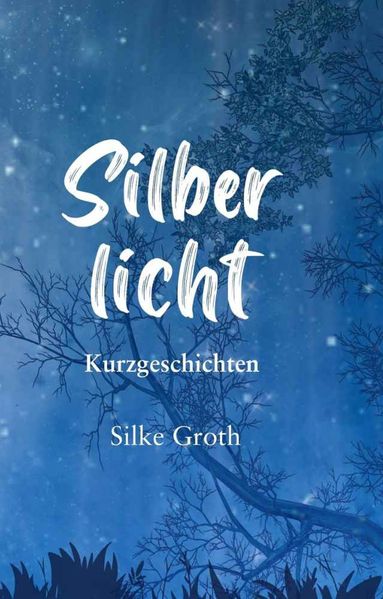 Cover von Silberlicht