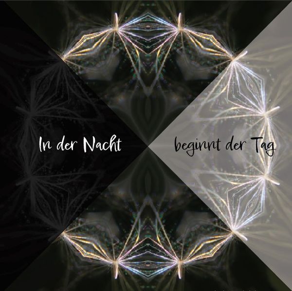 Cover von In der Nacht beginnt der Tag