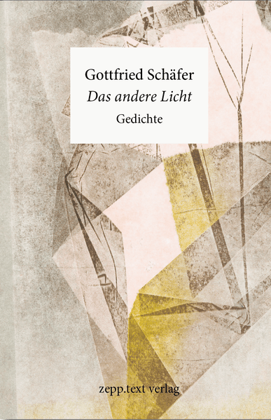 Cover von Das andere Licht