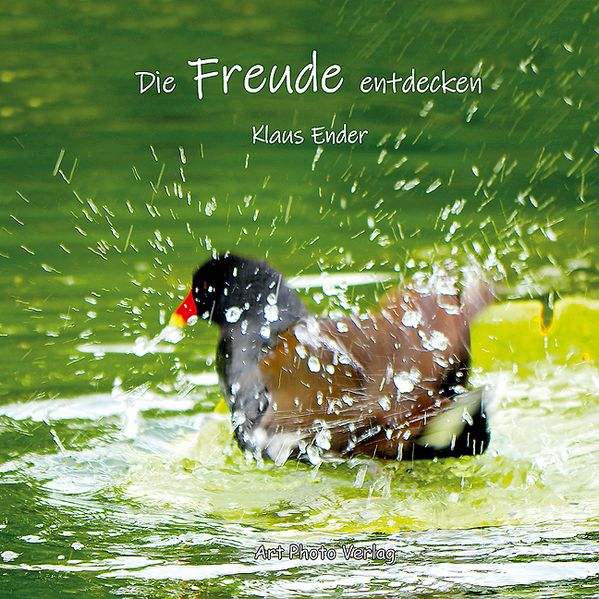 Cover von Die Freude entdecken