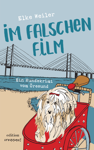 Cover von Im falschen Film