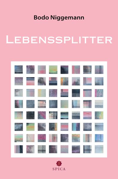 Cover von Lebenssplitter
