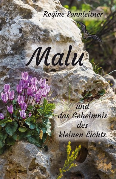 Cover von Malu und das Geheimnis des kleinen Lichts