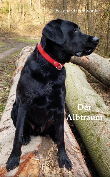 Cover von Der Albtraum