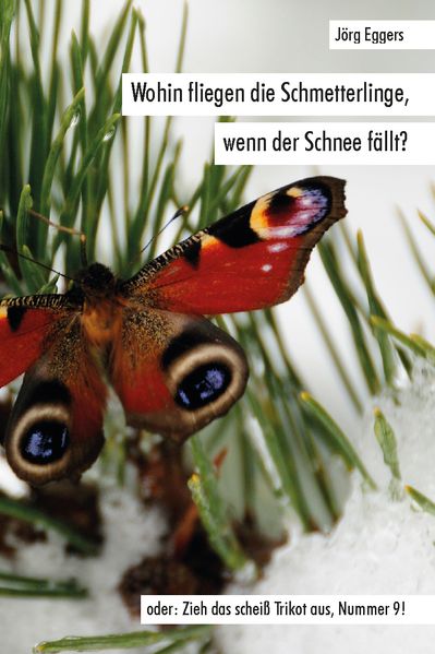 Cover von Wohin fliegen die Schmetterlinge, wenn der Schnee fällt? oder: zieh das scheiß Trikot aus, Nummer 9!