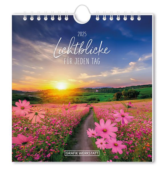 Cover von Postkartenkalender 2025 Lichtblicke