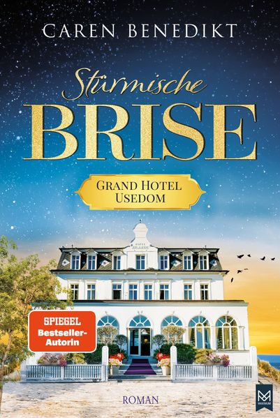 Cover von Stürmische Brise