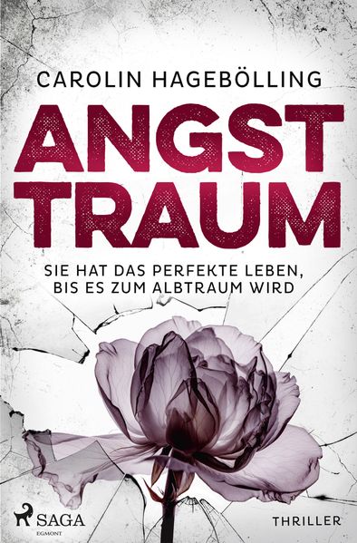 Cover von Angsttraum
