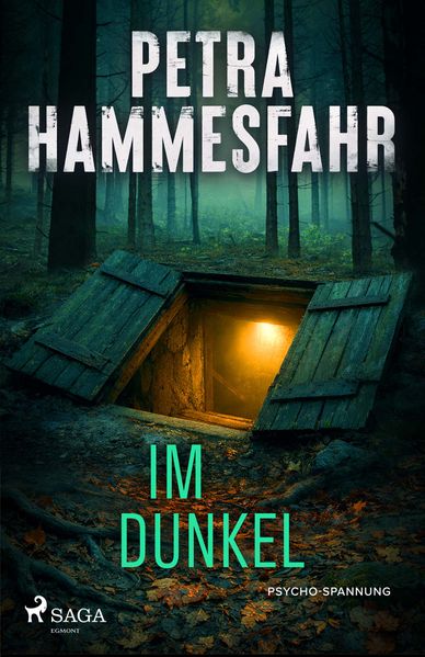 Cover von Im Dunkel