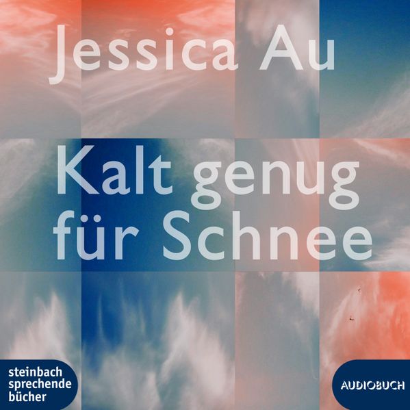 Cover von Kalt genug für Schnee
