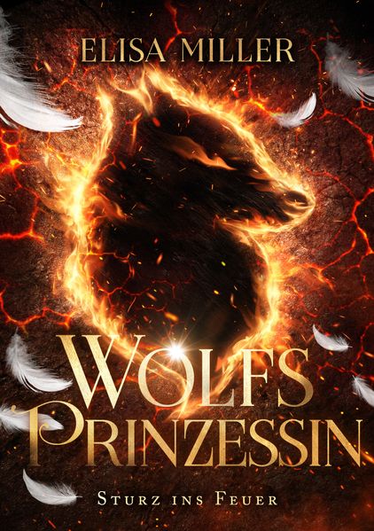 Cover von Sturz ins Feuer