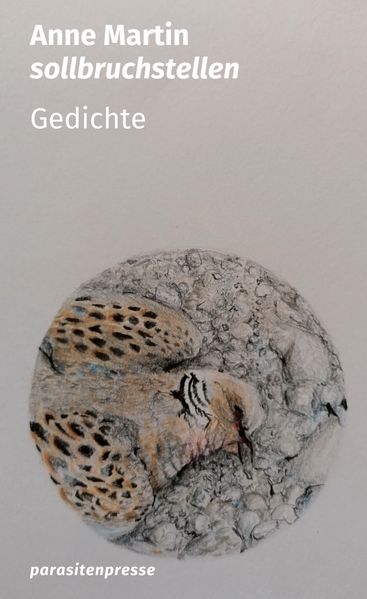Cover von sollbruchstellen