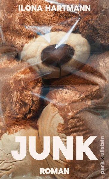 Cover von Junk