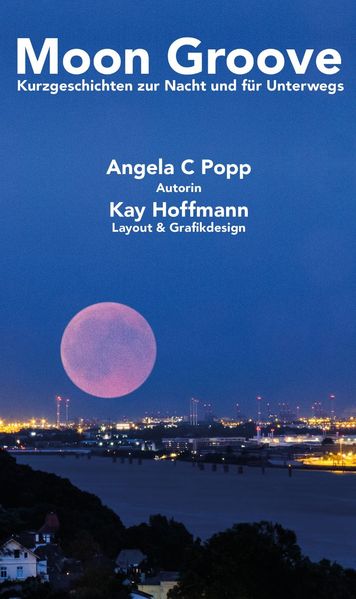 Cover von Moon Groove